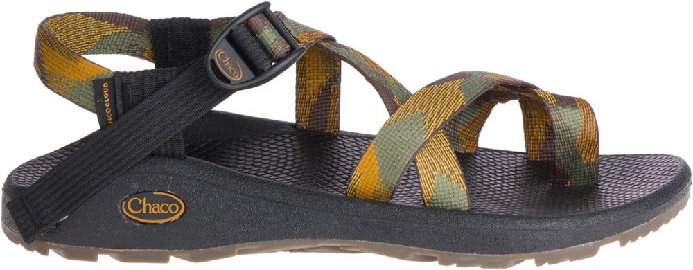 photo: Chaco Z/Cloud 2 sport sandal