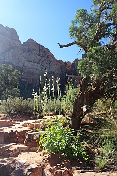 IMG_7400.jpg