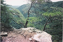 2813680159_c03712e471_mRavens_Point.jpg