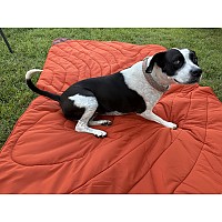 M*u様 MSR parawing 19ft MSR 19' ParaWing Reviews - Trailspace