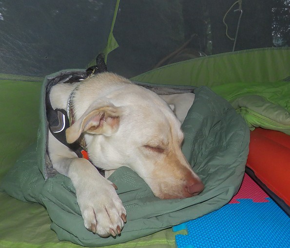 Hurtta Outback Dreamer ECO Dog Sleeping Bag