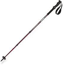 photo: REI Ascent Shocklight antishock trekking pole