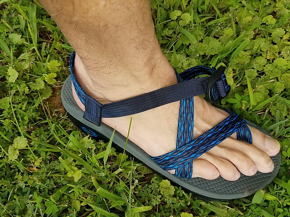 Chaco men's store z cloud 2