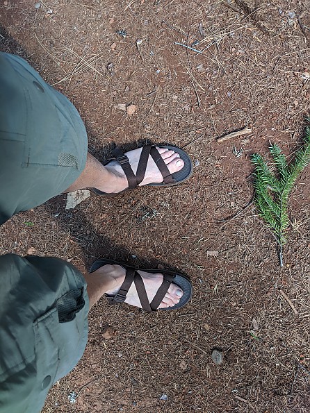 Chaco Lowdown Sandal Reviews Trailspace