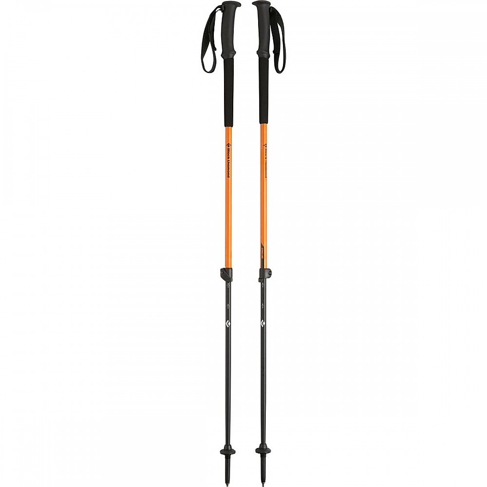 photo: Black Diamond Syncline rigid trekking pole