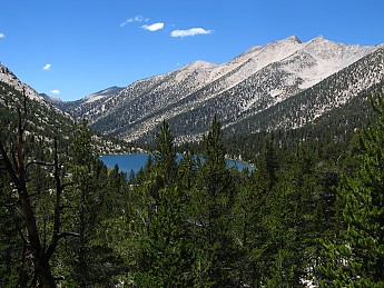 IMG_1203.jpg