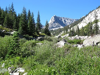 IMG_0895.jpg