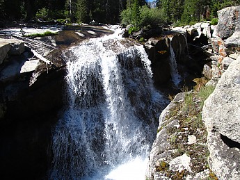 IMG_0882.jpg