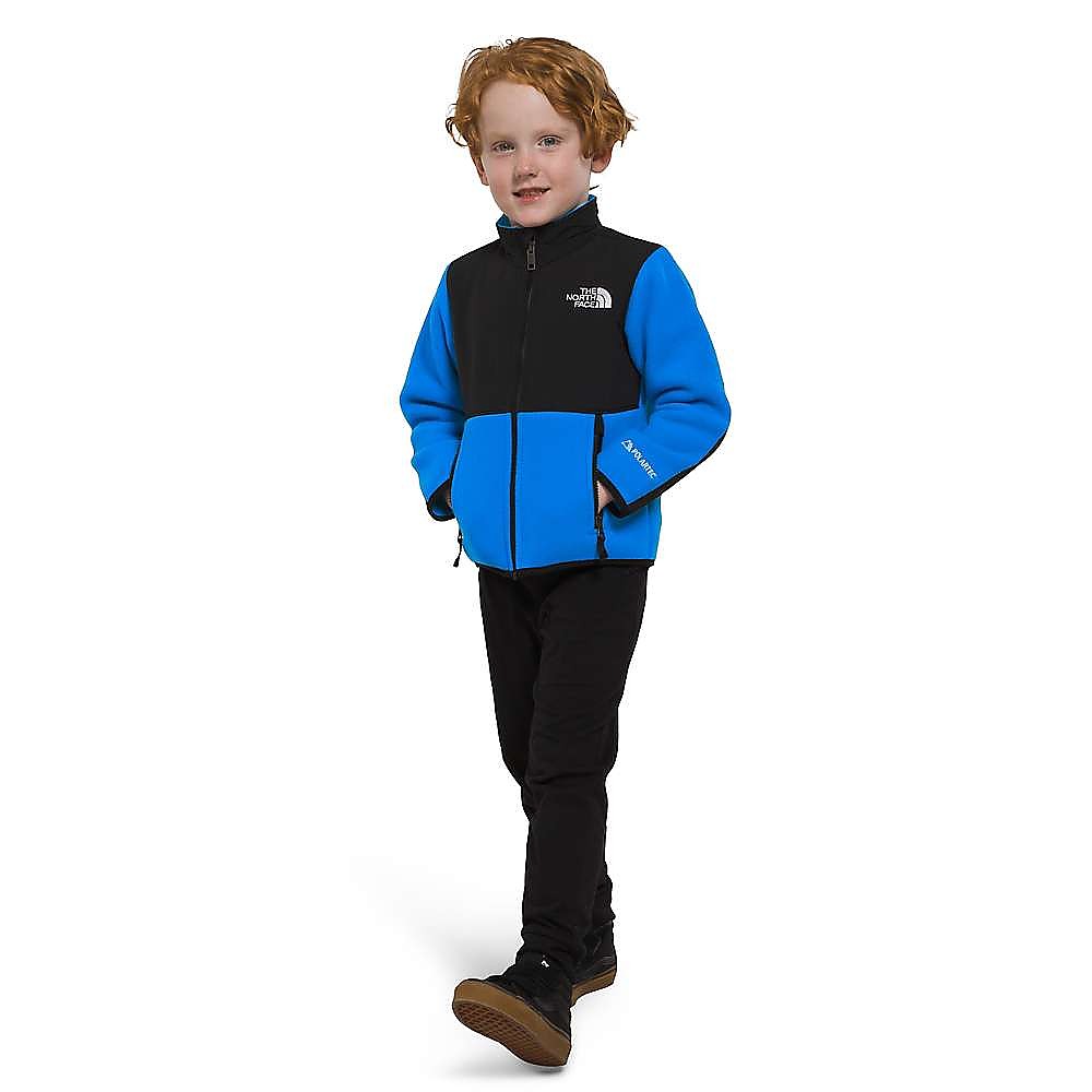 The North Face Denali Jacket Reviews Trailspace