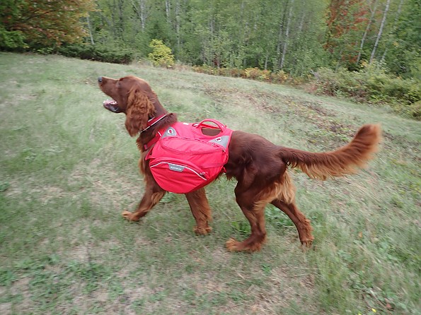 Ruffwear Palisades Pack Reviews Trailspace