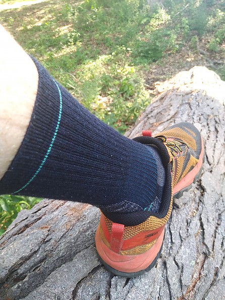 Smartwool 'Performance Hike' Sock Review: Cushy, Secure, Good for the  Planet