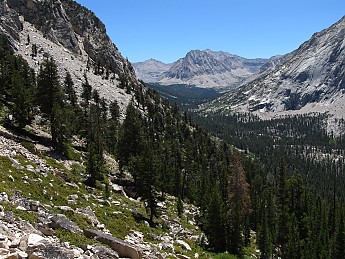 IMG_1185.jpg
