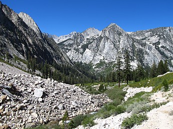 IMG_1168.jpg