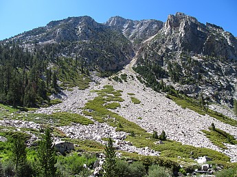 IMG_1165.jpg