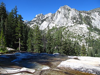 IMG_1154.jpg