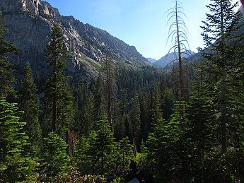 IMG_1142.jpg