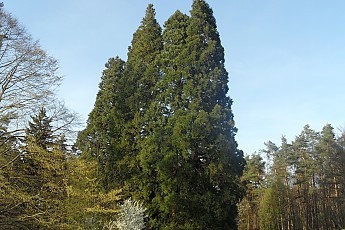 SAM_0543.jpg
