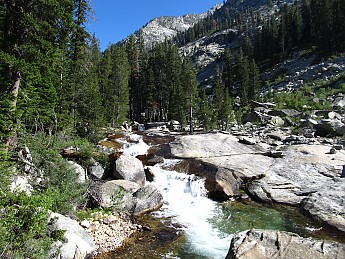 IMG_0831.jpg