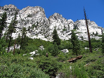 IMG_0813.jpg