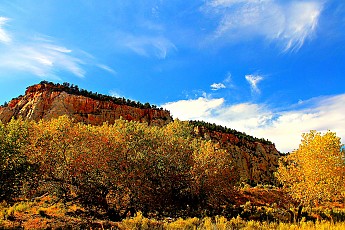 IMG_0841-Fall-colors-in-Parunuweap-Canyo