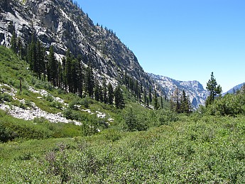 IMG_0806.jpg