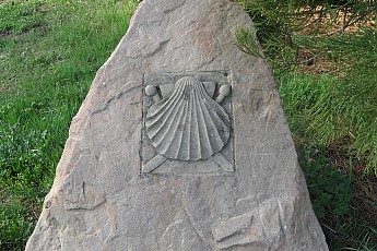 SAM_0539.jpg