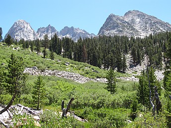 IMG_0955.jpg