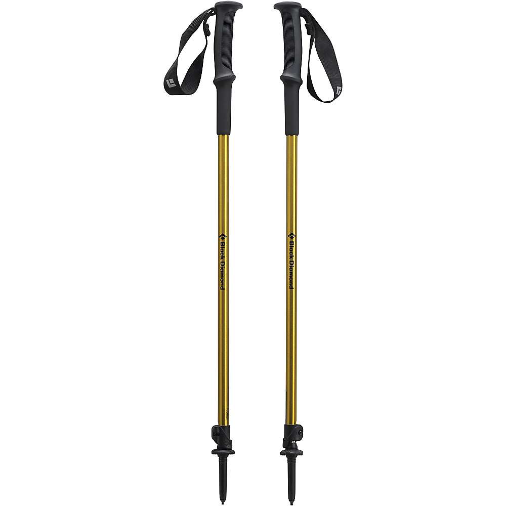photo: Black Diamond Trail Sport 2 rigid trekking pole