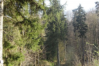 SAM_0544.jpg