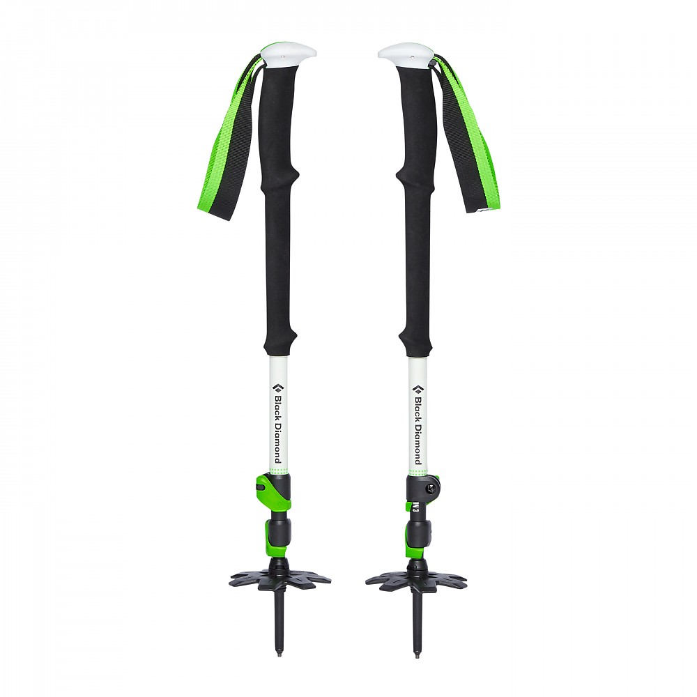 photo: Black Diamond Expedition 3 alpine touring/telemark pole