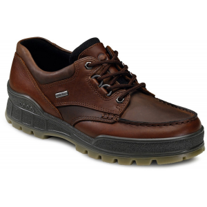 photo: Ecco Track II trail shoe