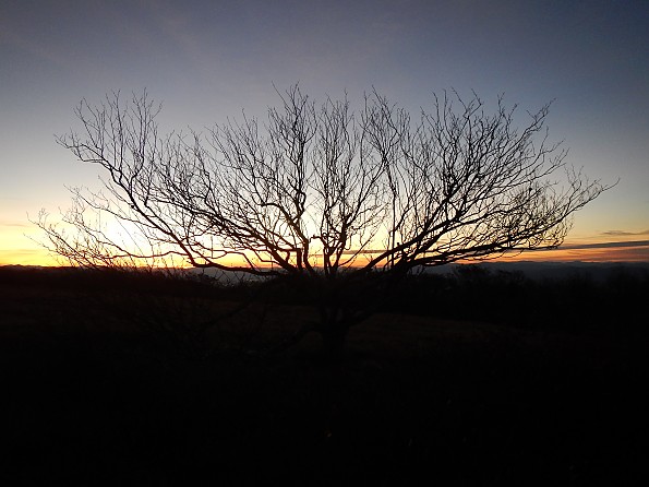 DSCN2156.jpg