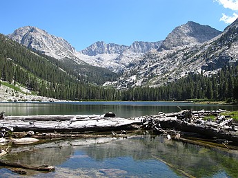 IMG_1042.jpg