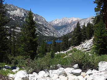 IMG_1025.jpg