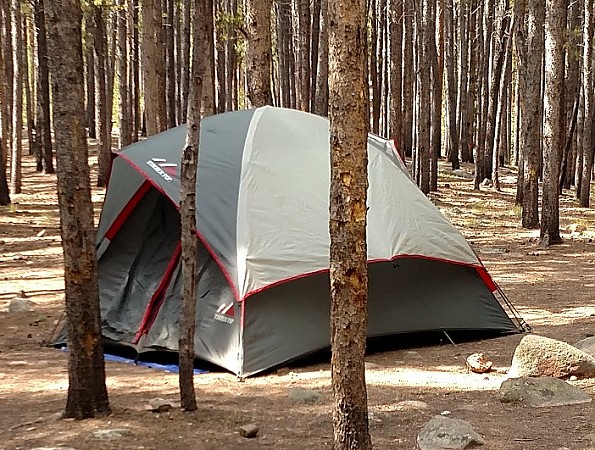 Timber-Top-tent.jpg