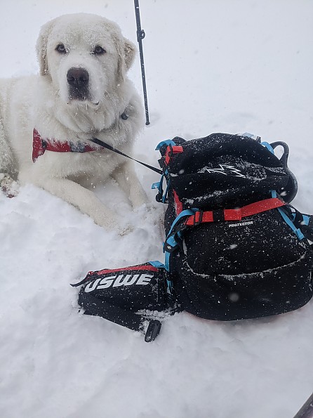 USWE Pow 16L, mochila de esquí y snowboard con protector de espalda, para  hombres y mujeres. Paquete de hidratación de nieve aislada con protección