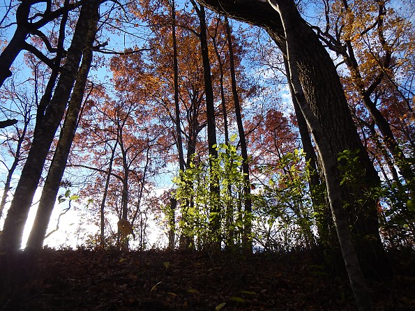 DSCN2163.jpg