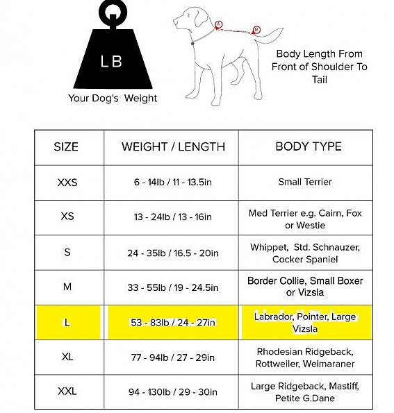 dog-jacket-sizes.jpg