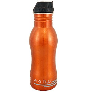 photo: EcoUsable Ech2o Filtered Water Bottle 18 oz bottle/inline water filter