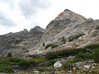 IMG_1274.jpg