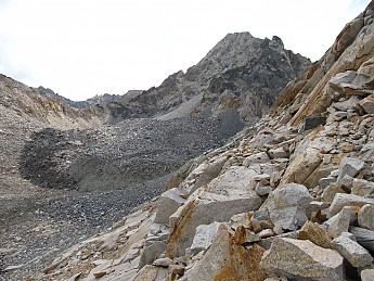 IMG_1270.jpg