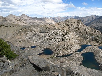 IMG_1258.jpg
