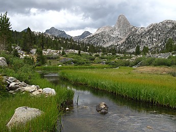 IMG_1394.jpg