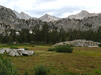 IMG_1373.jpg