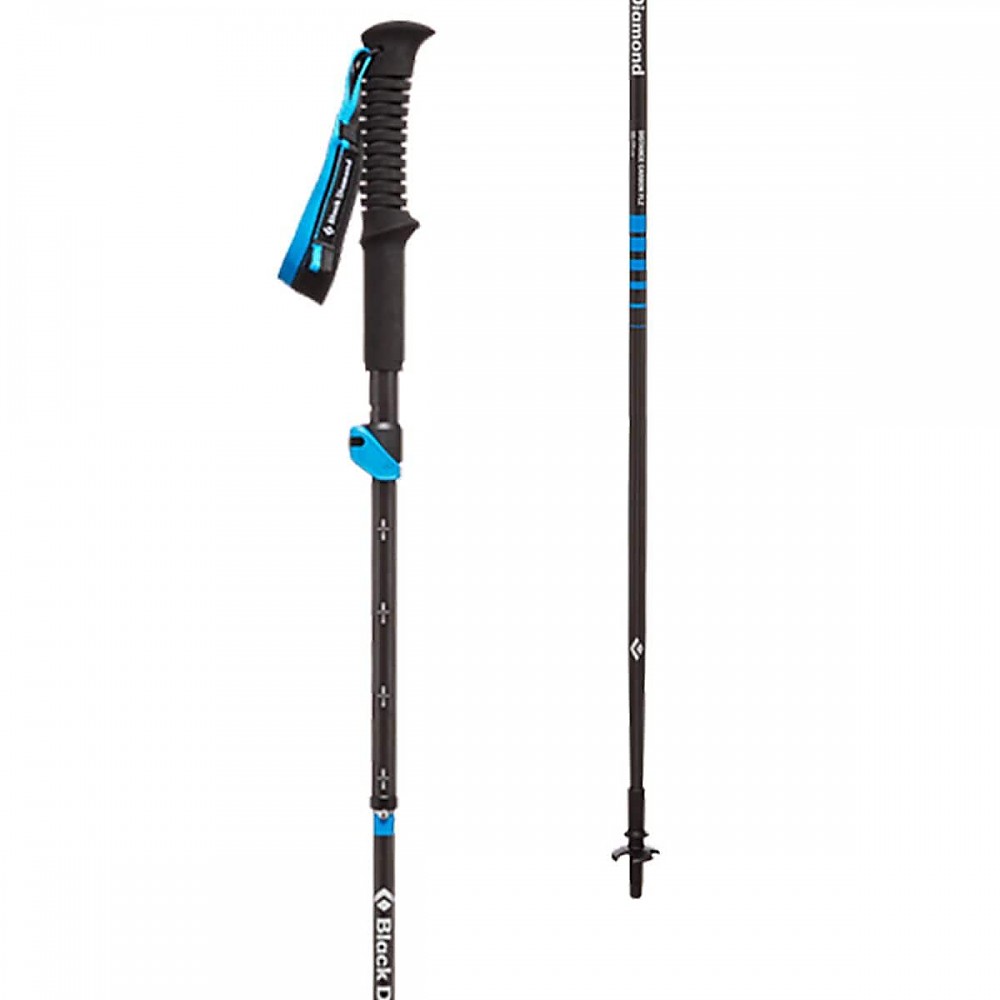 photo: Black Diamond Distance Carbon FLZ trekking pole