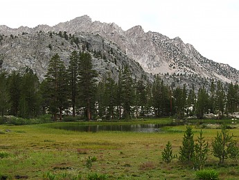 IMG_1371.jpg