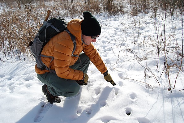 Brooks-Range Mountaineering Mojave Down Jacket