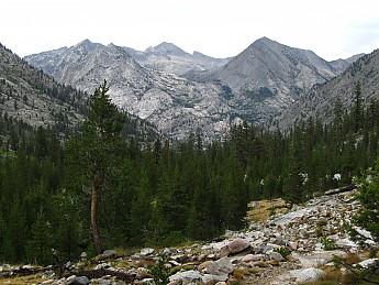 IMG_1530.jpg