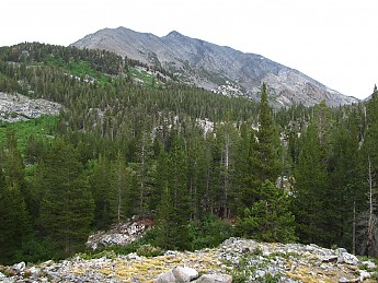 IMG_1517.jpg