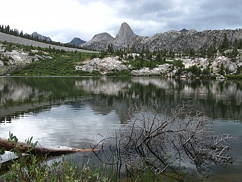 IMG_1442.jpg